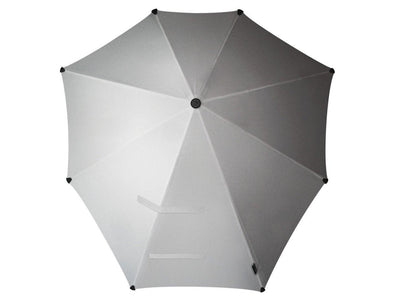 #kleur_shiny-silver